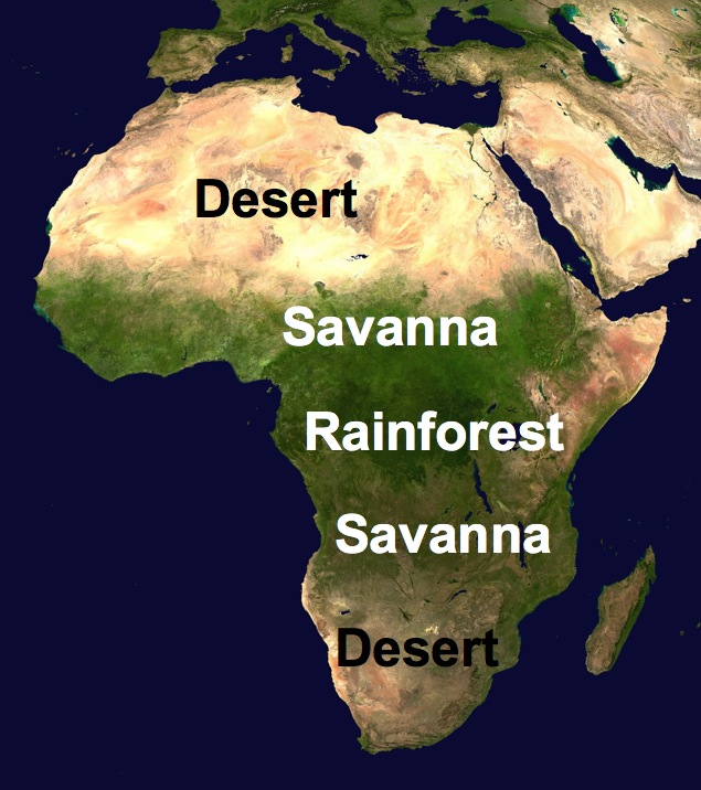 A Map Of Africa Showing Deserts Water Grasslands And Rainforests 88